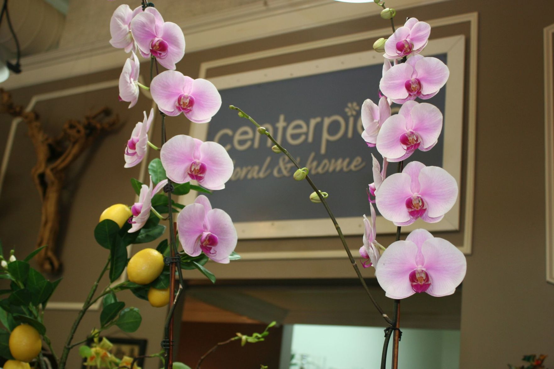 Centerpiece Floral & Home